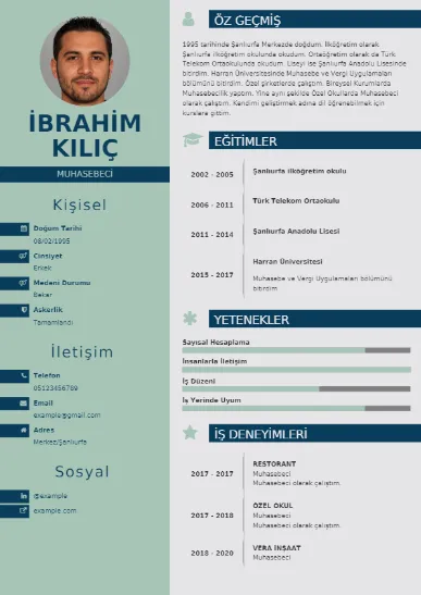Muhasebeci Örnek cv indir